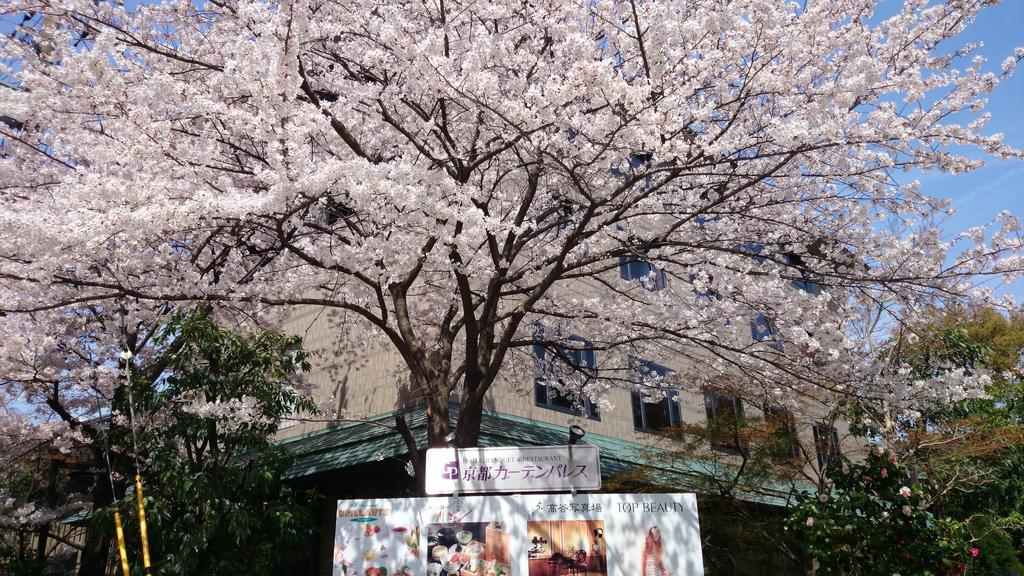 Kyoto Garden Palace Bagian luar foto