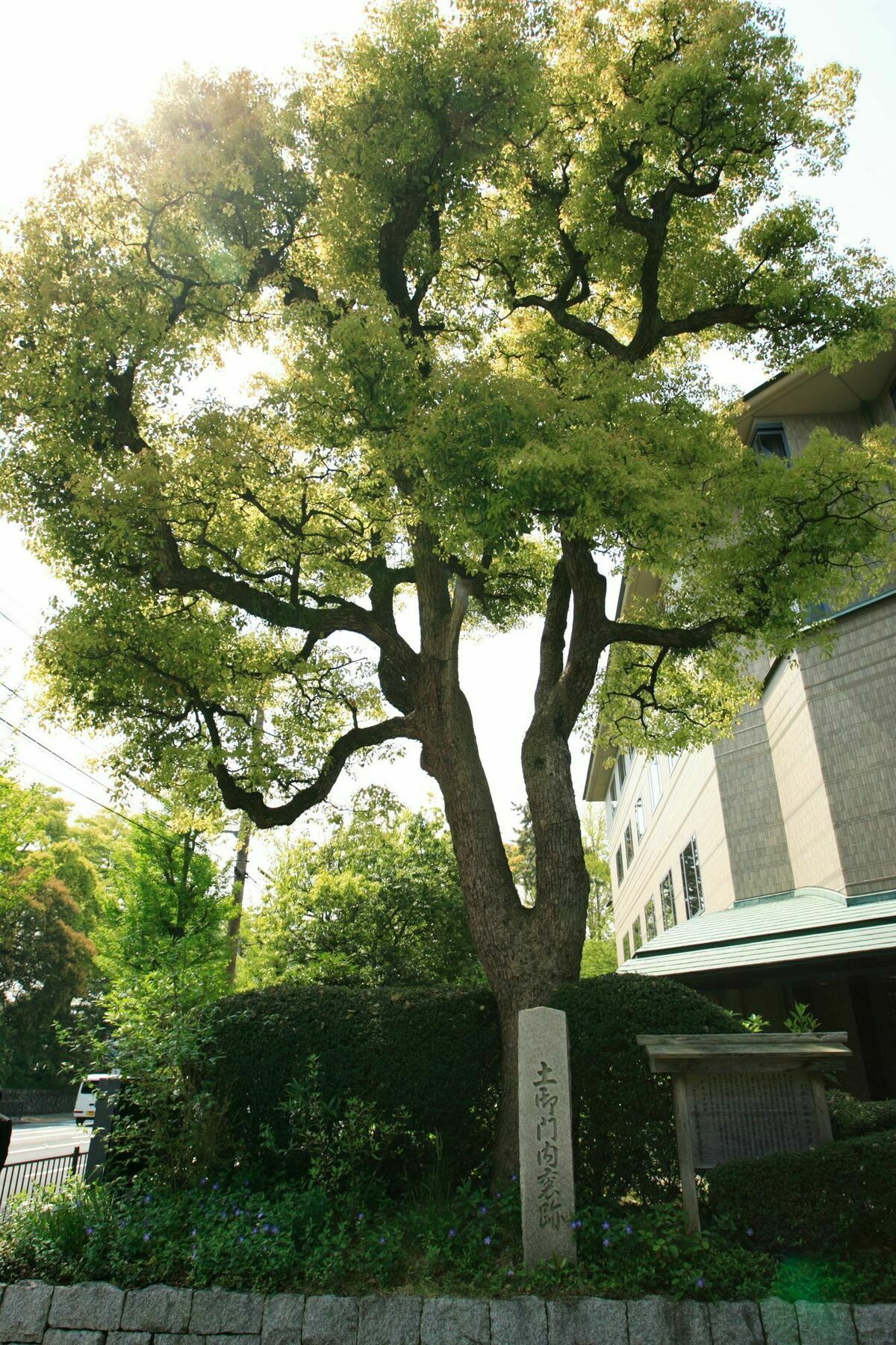 Kyoto Garden Palace Bagian luar foto